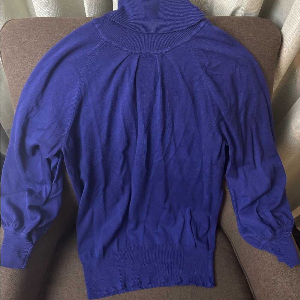Express Royal Blue Turtleneck Sweater